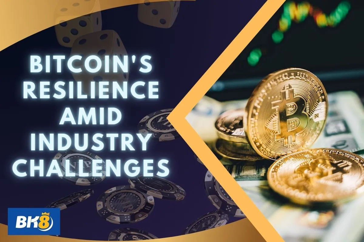 bitcoin industry challneges